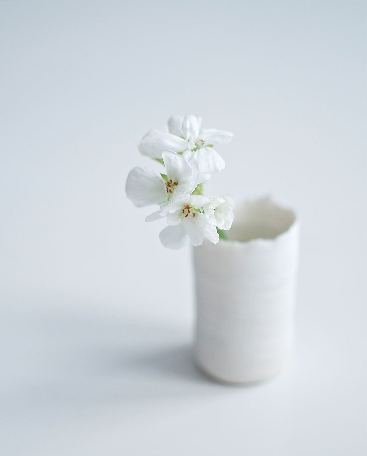 Bloom straight small vas