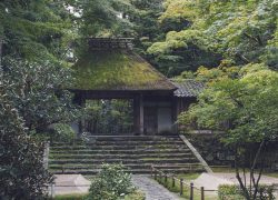 Japan - templet Honen-in i Kyoto