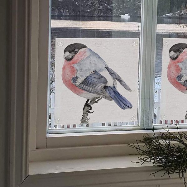 Fönsterskydd med motivet domherre från Emma Sjödin