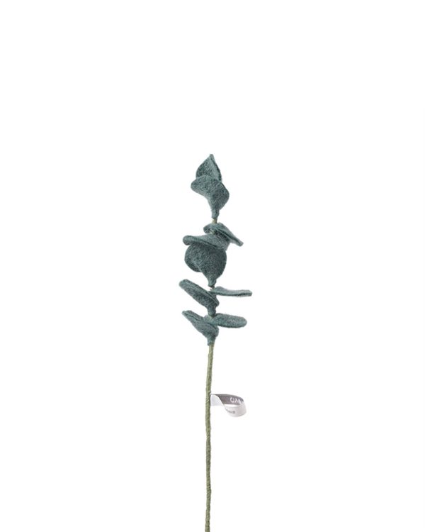 Evig blomma eucalyptus mörkgrön i ull från Aveva hos Cobosabi