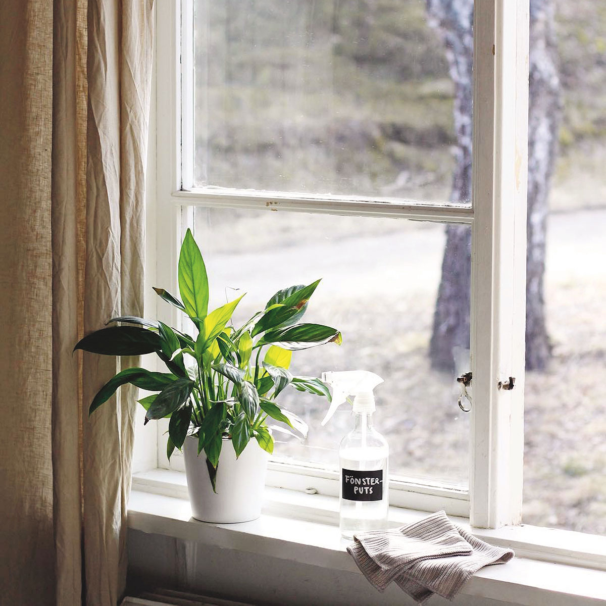 Städa hållbart med Ekotipset - Bild 2