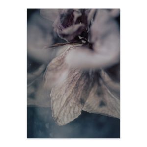 Art print Blossom från Soul Image