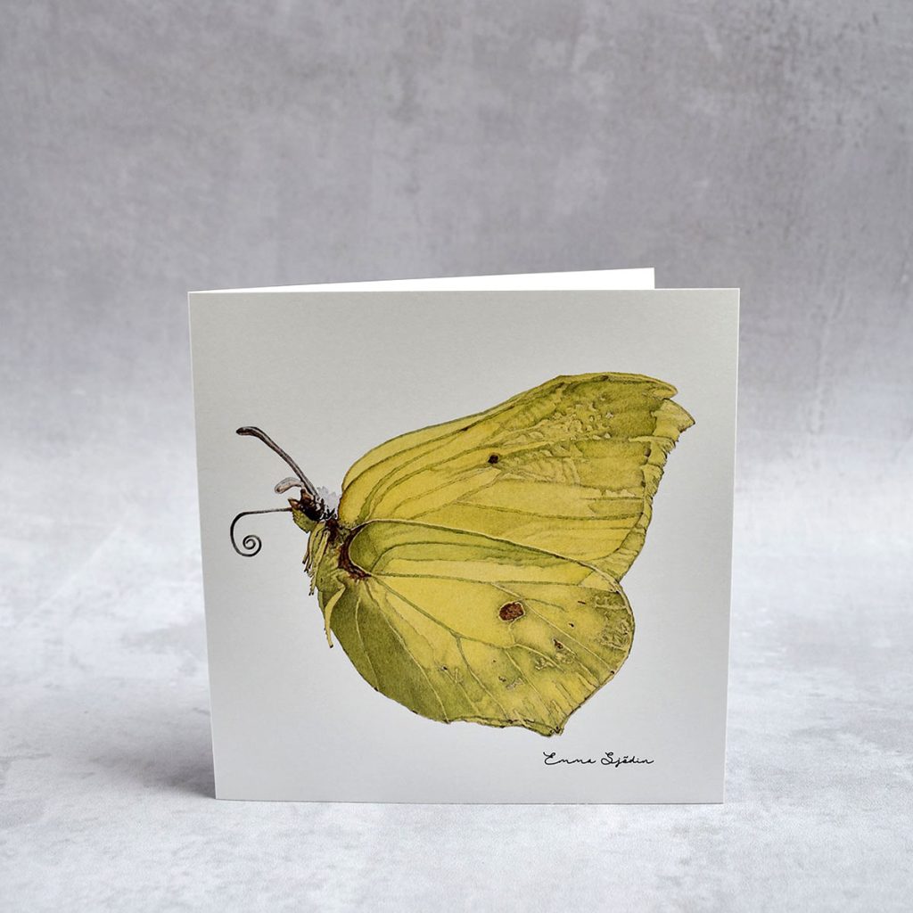 Dubbelvikt kort Citronfjäril från Emma Sjödin