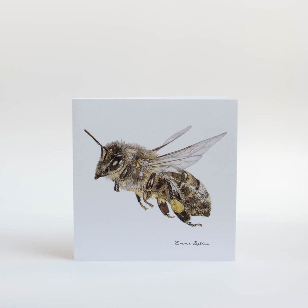 Dubbelvikt kort Honungsbi från Emma Sjödin