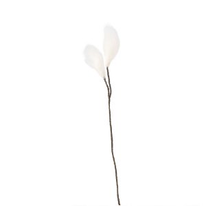 Evighetsblomma ängsull av ull från Aveva