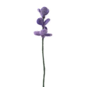 Evighetsblomma lavendell från Aveva