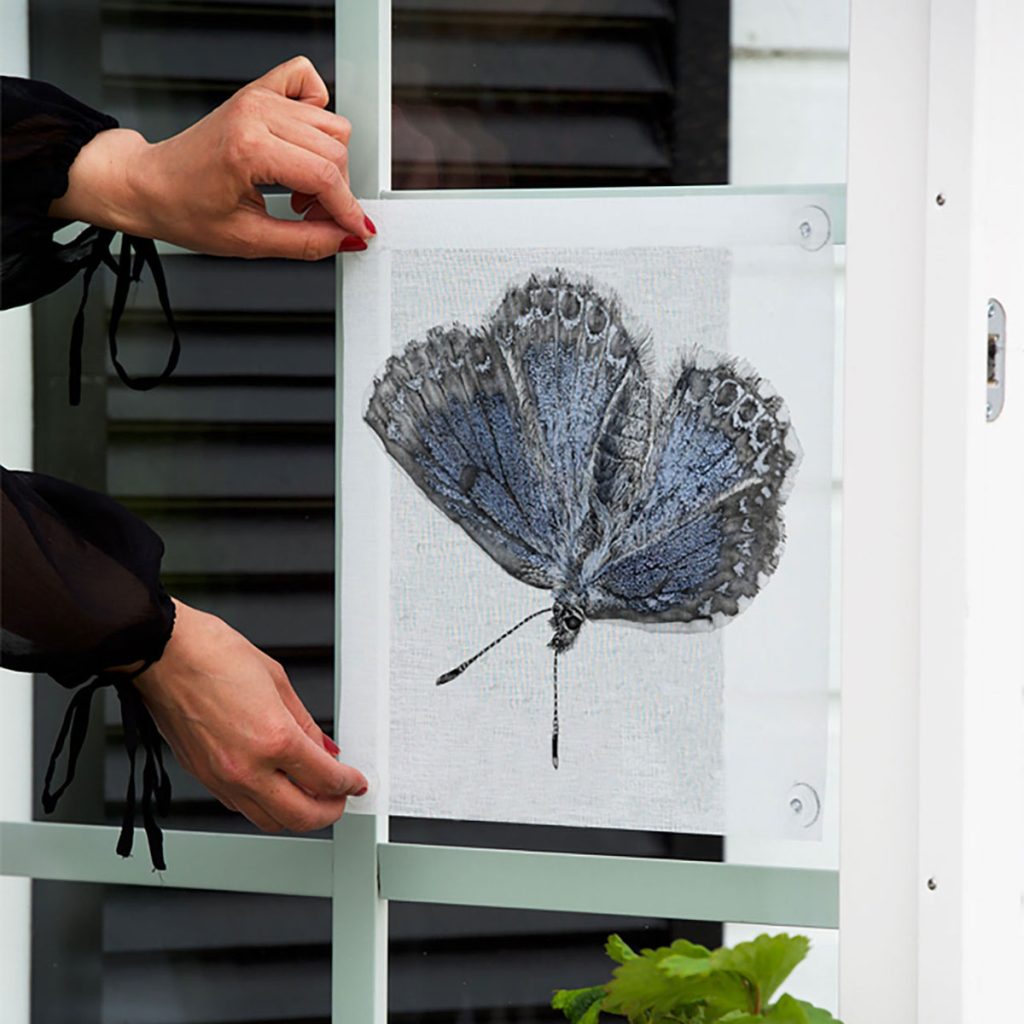 Fönsterskydd Blåvinge 31x31 cm från Emma Sjödin