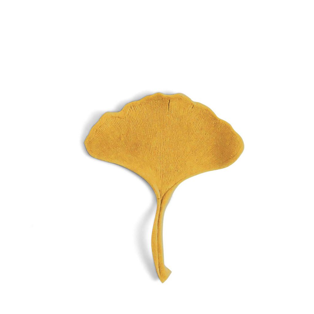Ginkgoblad gul av keramik från Aveva