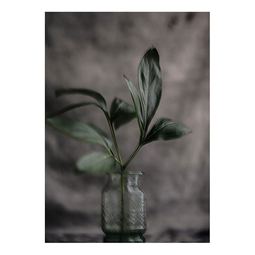 Art print Green leaf från Soul Image