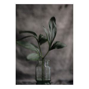 Art print Green leaf från Soul Image