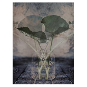 Art print Leaf Symbolism från Soul Image