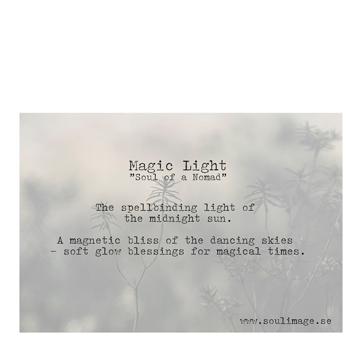 Magic Light - "Soul of a Nomad" - Bild 2