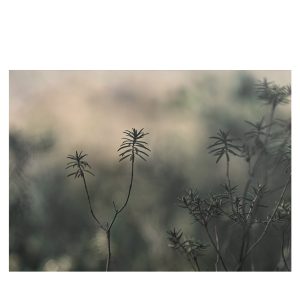 Art print Magic Light från Soul Image