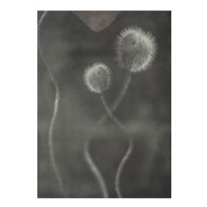 Art print Poppy bud från Soul Image