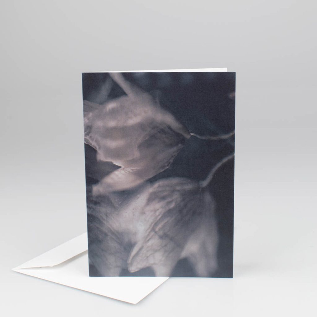 Kort med kuvert Soul Friends från Soul Image