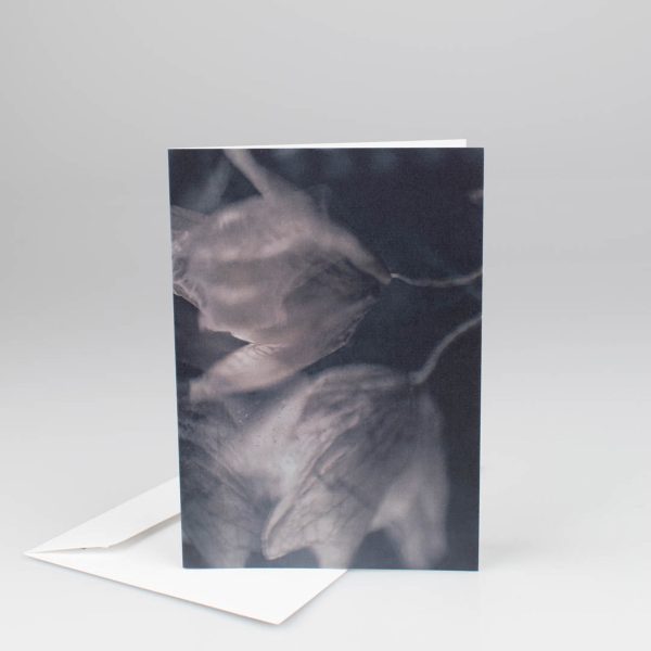 Kort med kuvert Soul Friends från Soul Image