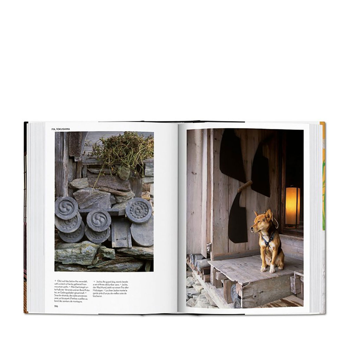 Living in Japan - Bild 2