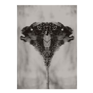 Art print True Affection från Soul Image