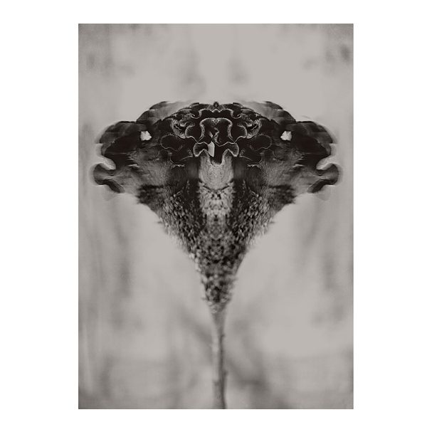 Art print True Affection från Soul Image