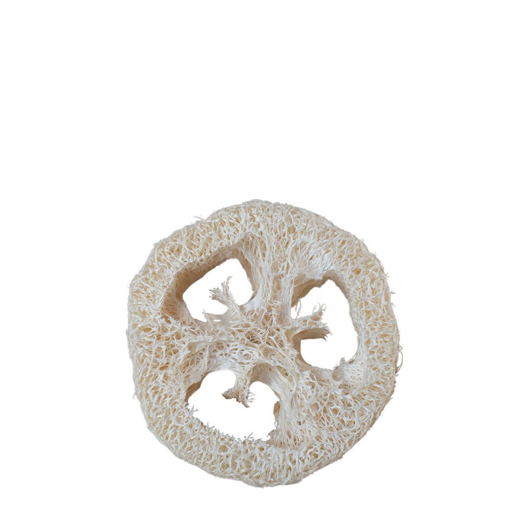 Tvålfat av loofah gurka från Tvåla & tvaga