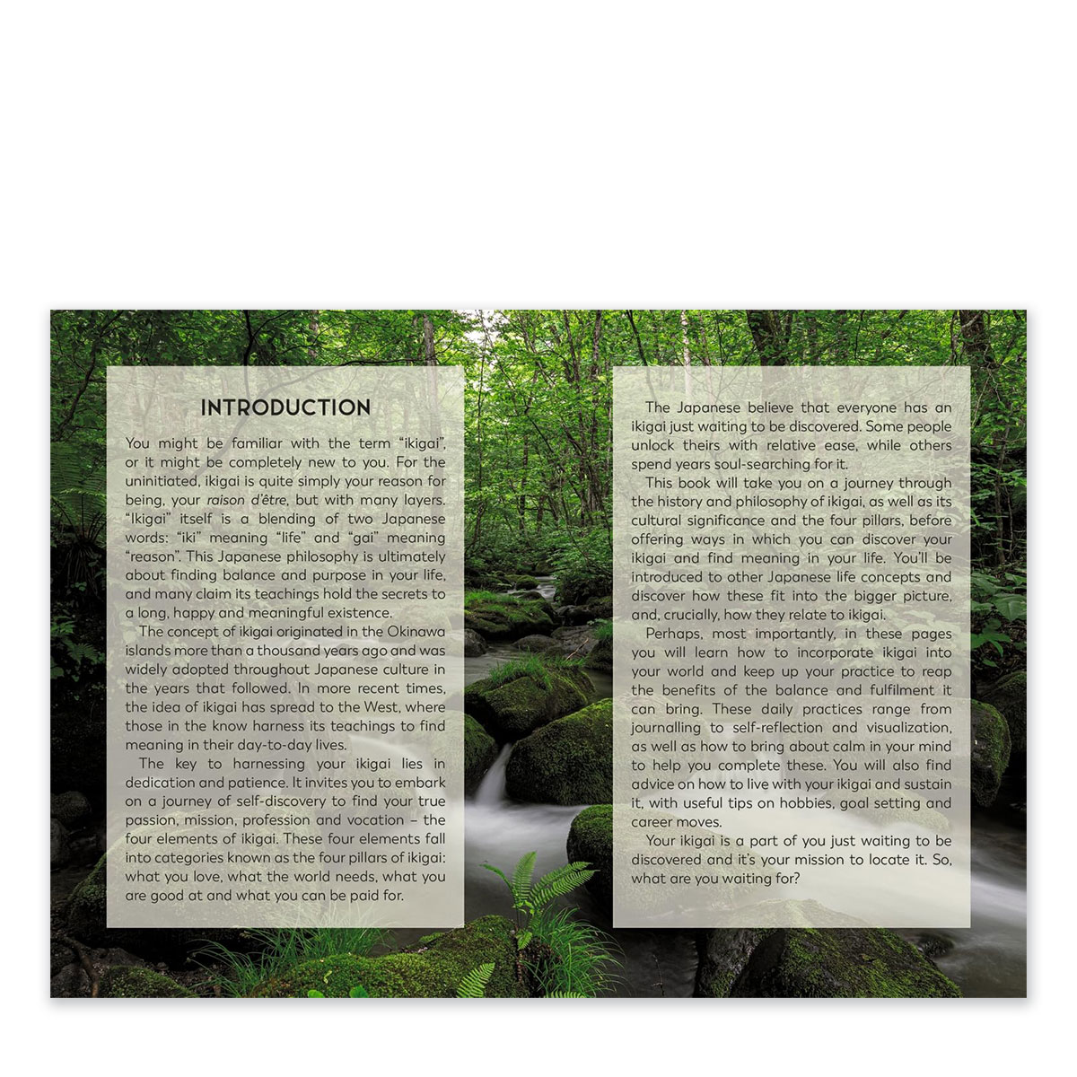 The Little Book of Ikigai - Bild 2